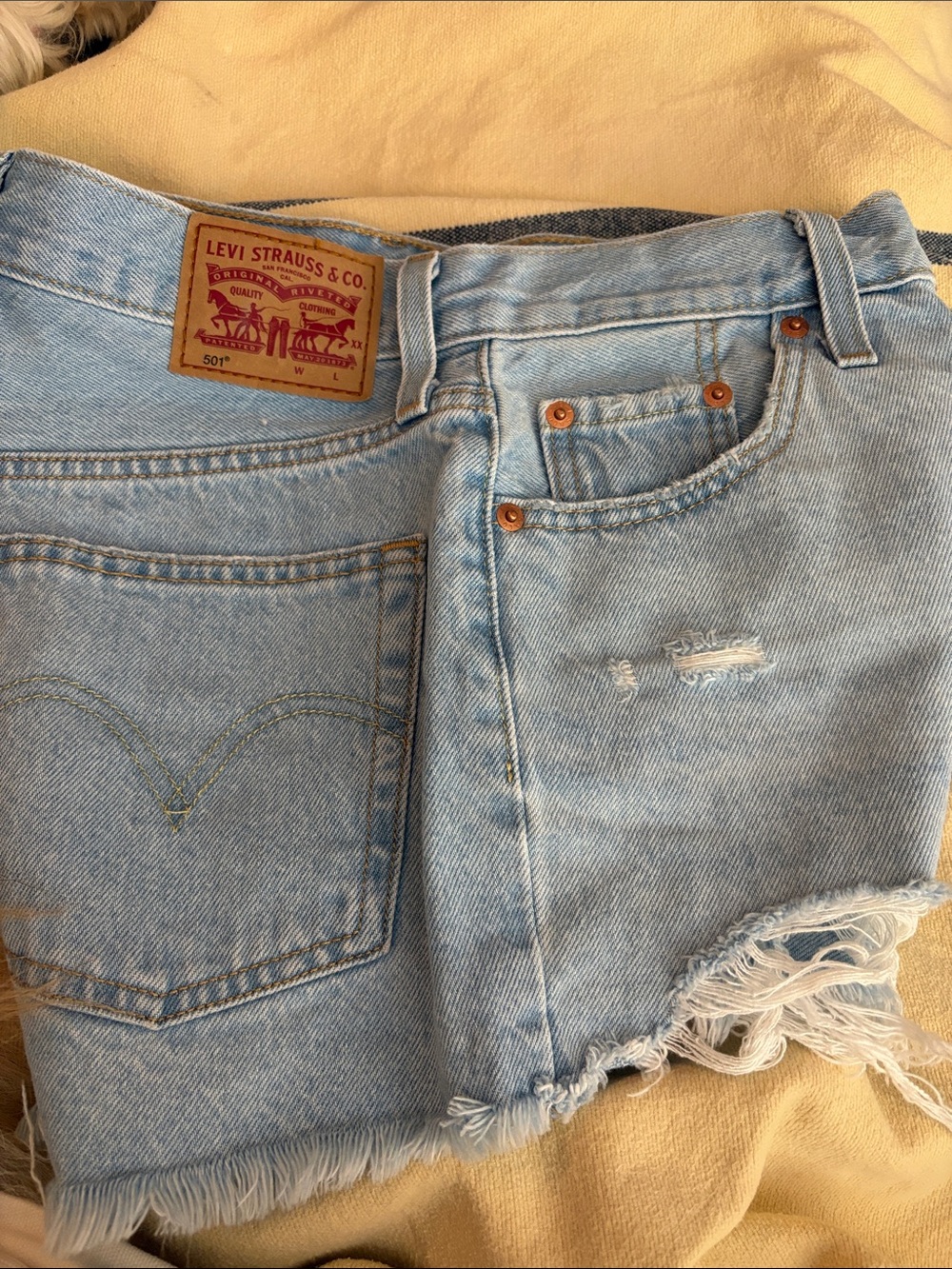 Levi's Light Blue Distressed Denim Cutoff Shorts